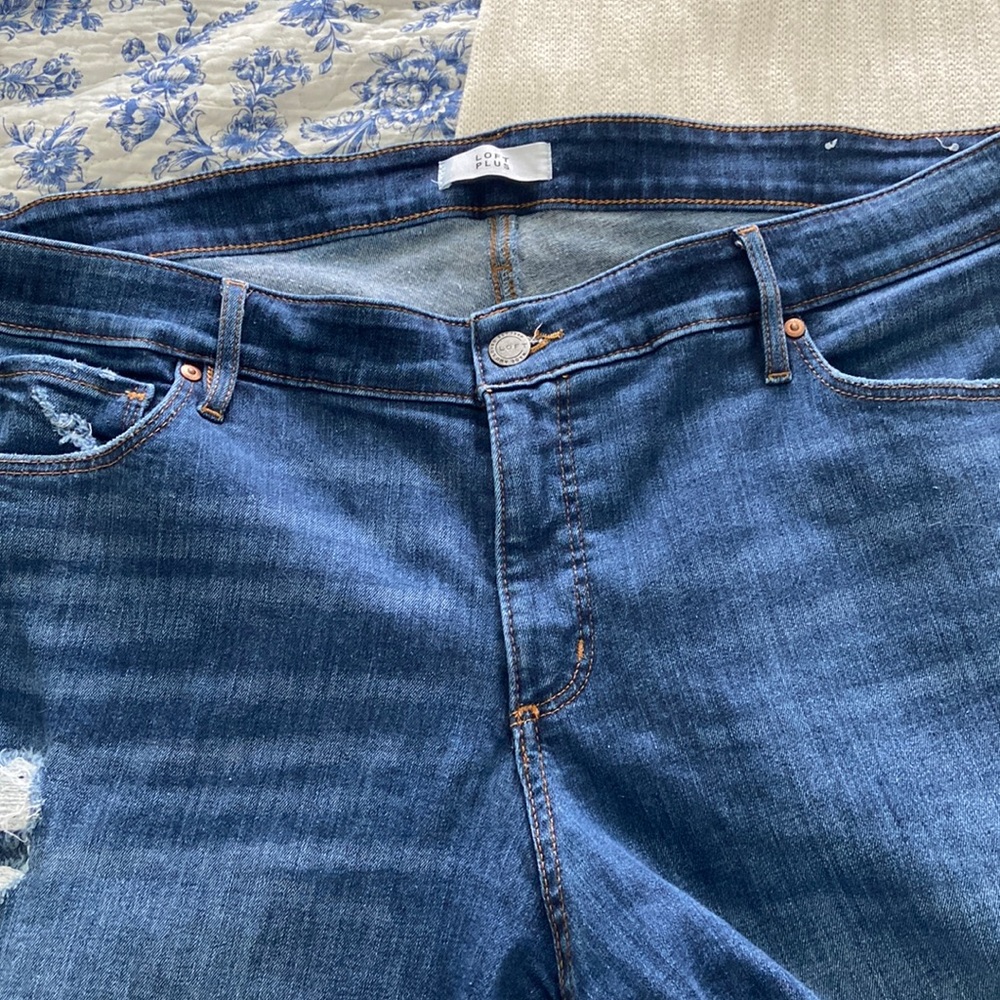 Loft plus skinny jeans